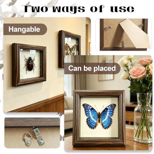 18Pcs Insect Pinning Kit, Beginner Entomology Kit with Tracing Paper, Tweezers, Scissors, Picture Frame, Insect Pins, Butterfly Pins and Foam Pinning Board. - Image 6