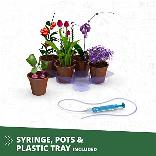 Engino: Discovering STEM - Botanic Laboratory: Photosynthesis, Ventilation & Gardening - 4 Models, Toy Structure Brick Building Set, Snap-Fit, Kids 9+ - Image 3