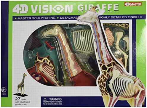 Famemaster 4D Vision Giraffe Anatomy Model, 14.5 inches by Unknown