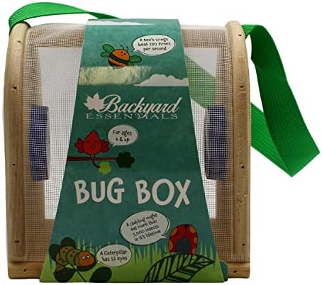 Wooden Bug Box - Dual Chamber Insect Habitat - Image 7