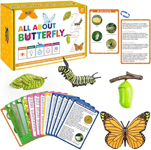 15 Butterfly Life Circle Flashcards with 4 Plastic Figurines, Butterflies Introduction Cards Plastic Insects Egg to Butterfly Kit Toy for Kids, Adults, Animal Lovers by SpriteGru