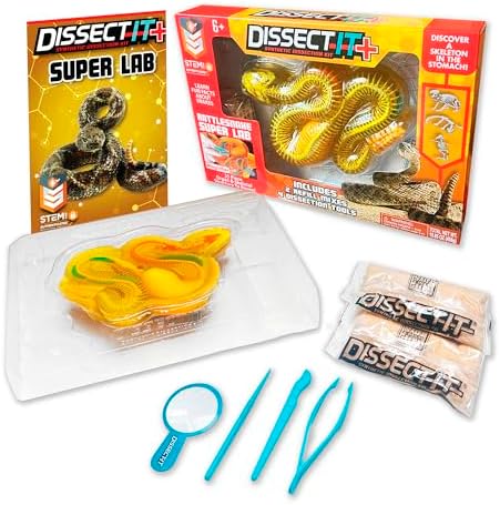 Dissect-It, Rattlesnake Dissection Kit, STEM Toys for Kids, Ages 6+ by TopSecretToys