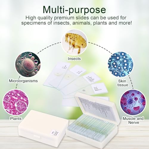 30 Microscope Slides with specimens, Plants, Insects, Animal Cell Samples for use in Biological Science Labs for Children, Students and homeschools - Image 3