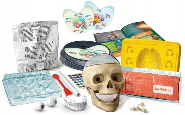 Clementoni 50697 Science Fun Crazy Anatomy Educational Kit for Children from 7 Years Old - Image 4