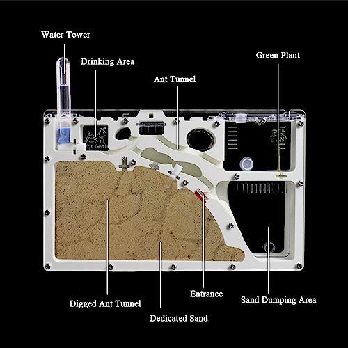 ELNMLHT Ant Farm Castle, Ant Farms with Yellow Sand and Tool Kit, Ant Colony Observation Kit, Ant Viewing Habitat Science Kit, Educational & Learning Science Kit for Kids, Adults, Student - Image 4