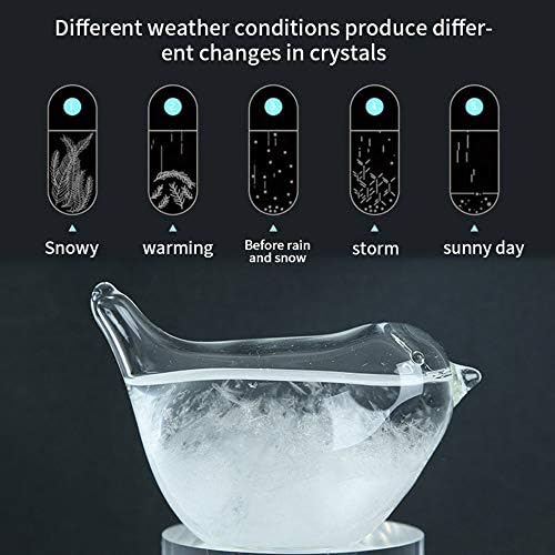 Hovico Storm Glass Weather Forecaster, Water Drop Weather Predictor, Drop-Shaped Glass Barometer, Home and Office Decorative Glass Bottles (B) - Image 3