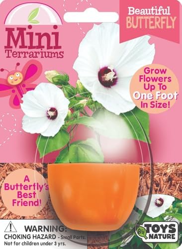 Toys By Nature Mini Terrarium Flowering Bundle, 100% USA Made Complete Starter Kit Includes 2 Each of Lobelia, Dixie Belle Hibiscus, Rose of Sharon, Easy to Grow Planting Seeds Just Add Water - Image 4