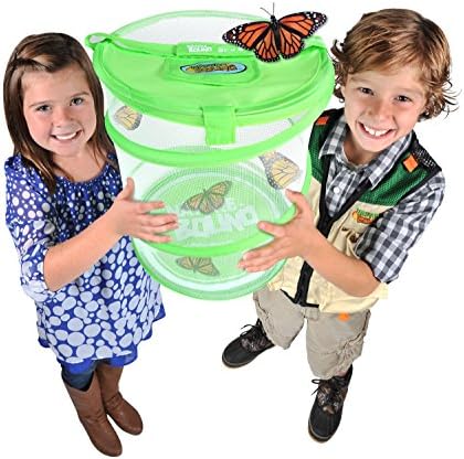 Nature Bound Butterfly Growing Kit - Live Caterpillar to Butterfly Project for Kids - Includes Voucher for Caterpillars, Green Pop-Up Enclosure, and STEM Learning Guide (Original Design) - Image 3