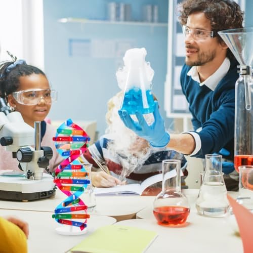 VICASKY DNA Kit Self Double Helix Structure Model 33 x 11.6cm DIY Generic Molecular Model Kit Large-Scale Biological Structure Human Genes Components Science Educational Teaching Tool - Image 2