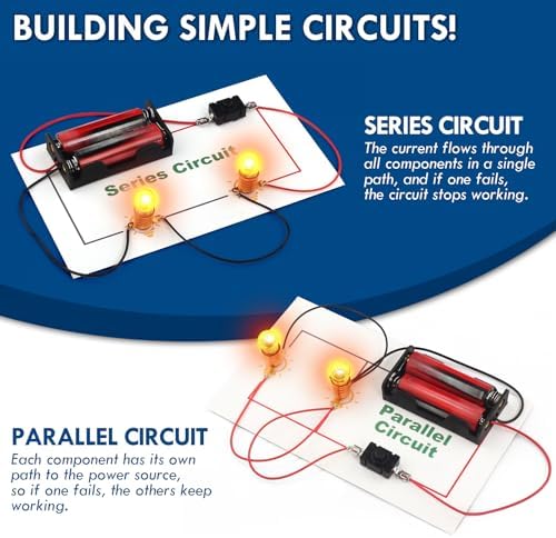 STEM Electric Circuit Kit, Electricity Science Project Light Bulb Experiments for Kids Teens, Electrical Engineering Kits Age 8-12 12-14, Fruit Energy Projects Circuits Experiment - Image 3