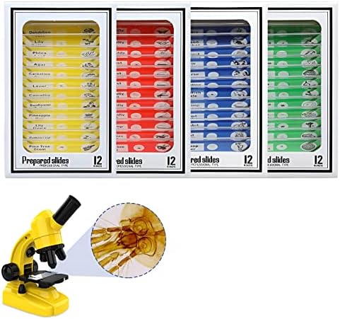 48pcs Microscope Slides with Specimens for Kids – Kids Prepared Stereo Microscope Slides for Stereo Microscope and Other, Animals Insects Plants Flowers Specimens by StartwithNinyoon