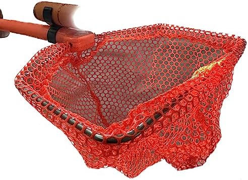 Beach Toys for Kids - Ghost Crabbing Kit - Crab Net - Beach Toy Nets - Bug Catcher Kits - Critters - Youngster Fishing Fishnet - Butterfly Catching - Insects - Ghost Shrimps - Image 5