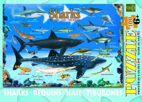 Sharks 100 Piece Jigsaw Puzzle - Image 4