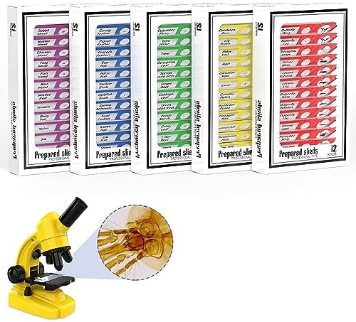 60pcs Microscope Slides with Specimens for Kids – Kids Prepared Stereo Microscope Slides for Stereo Microscope and Other, Animals Insects Plants Flowers Specimens by StartwithNinyoon