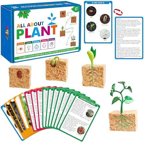 15 Plant Life Circle Flashcards with 4 Plastic Figurines-Seed to Plant, Plants Introduction Card Plants Growth Details for Nature Lovers & Adults, Montessori Toy for Kids by SpriteGru