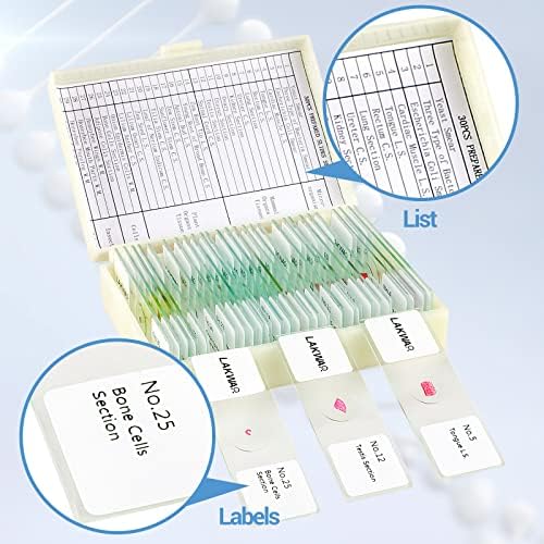 30 Microscope Slides with Specimens for Kids, Prepared Microscope Slides for Kids Microbiology, Glass Slides for Microscope, Biology Gifts for Adults Kids - Image 3