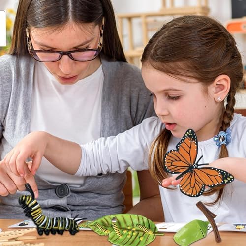 Life Cycleinsects Toys - 6Pcs Educational Figurine Set Ladyybuges - Image 3