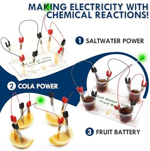 STEM Electric Circuit Kit, Electricity Science Project Light Bulb Experiments for Kids Teens, Electrical Engineering Kits Age 8-12 12-14, Fruit Energy Projects Circuits Experiment - Image 4