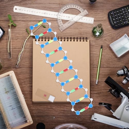 VALICLUD DNA Double Helix Model Kit - Molecular Structure Model for Teaching and Science Classroom Decor, Interactive DIY DNA Set - Image 6