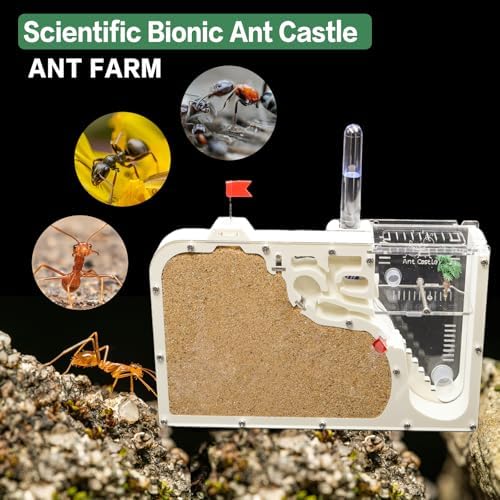 Ant Farm Castle - Ant Farms for Kids with Yellow Sand Complete Tool Kit, Live Ants Habitat Science Kit - Great Gift for Boys, Girls and Student - Image 5