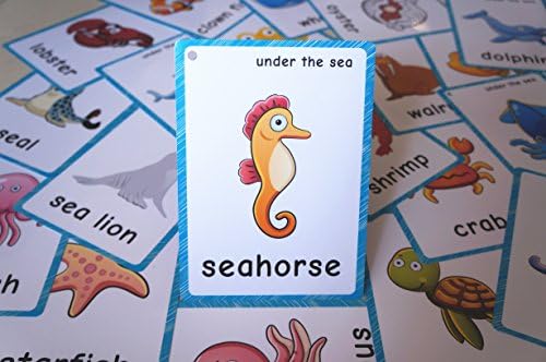 20 pcs Sea Animals Flash Cards for Toddlers | Marine Animals Learning Cards & Montessori Pocket Cards Perfect for Pre-K Wall Stickers and Insect Themed Party, Teacher/Autism Therapists Tools - Image 3