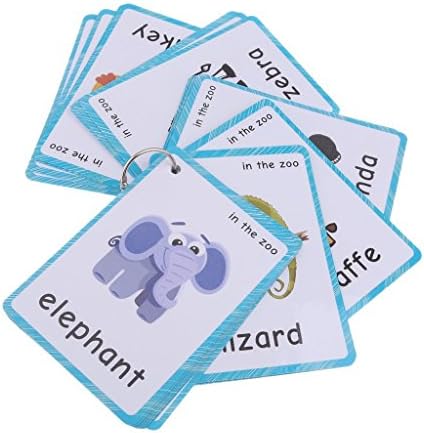 32 pcs Wild Animals Flashcards for Kids | Learning Cards & Montessori Pocket Cards for Pre-K Wall Stickers and Insect Themed Party, Online Classroom | Teacher/Autism Therapists Tools by SANTSUN
