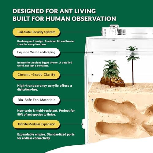 Ant Farm Starter Kit for Beginners & Hobbyist Formicarium Ants NOT Included - Image 4