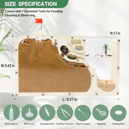 Ant Farm Castle - Ant Farms for Kids with Yellow Sand Complete Tool Kit, Live Ants Habitat Science Kit - Great Gift for Boys, Girls and Student - Image 2