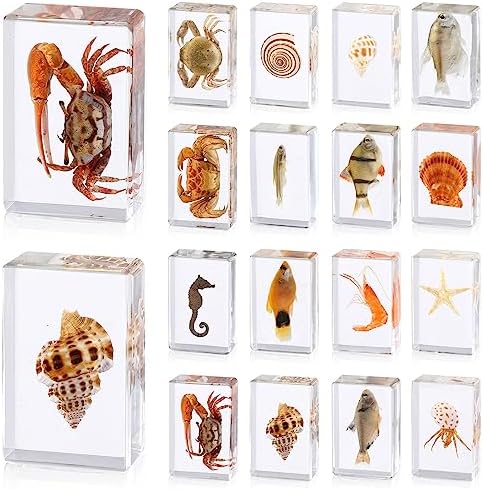 16 Pcs Ocean Animal Insect in Resin Specimen Bugs Collection Paperweights，16 Styles Real Bug Specimen Bug Kit Preserved in Resin for Scientific Educational Display Supplies (Ocean) by ABURRORI