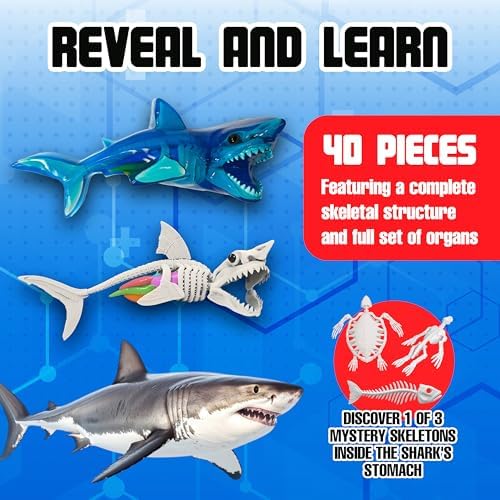 Dissect-It, Shark Dissection Kit, STEM Toys for Kids, Ages 6+ - Image 4