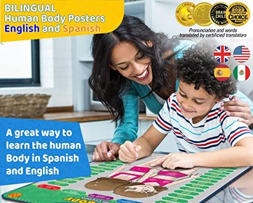 Bilingual Human Body Model for Kids – Interactive Human Anatomy for Kids with Games & Quizzes – Educational Posters for Learning Body Parts, Bones & Organs. English and Spanish for Kids. - Image 2
