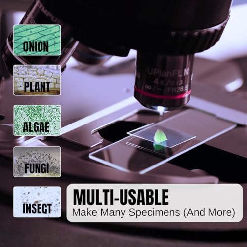 ZEEGOO Microscope Slides and Covers, 100 Glass Slides + 200 Coverslips - Image 5