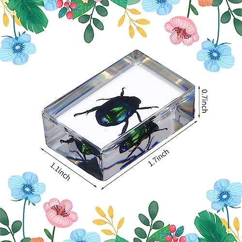 12 Pcs Insect in Resin Specimen Butterfly Bugs Collection Paperweights，12 Styles Real Bug Specimen Bug Kit Preserved in Resin for Scientific Educational Display Supplies (Insect) - Image 2