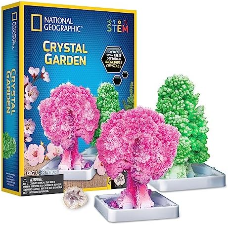 National Geographic Crystal Garden Growing Kit for Kids - Educational Science Kits for Kids Age 8+ Grow Genuine Rose Quartz Crystal Covered Trees | STEM Gifts for 8+ Year Old Boys and Girls by National+Geographic