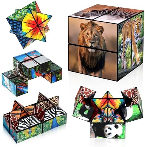 Euclidean Cube Fidget Toys for Kids 2 in 1 Star Cube Magic Cube Puzzle Toys by EuclideanCube