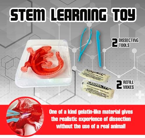 Dissect-It Kit for Kids, Simulated Synthetic Lab Dissection Toy, Salamander STEM Toys for Animal Science, Biology, and Anatomy - Image 3