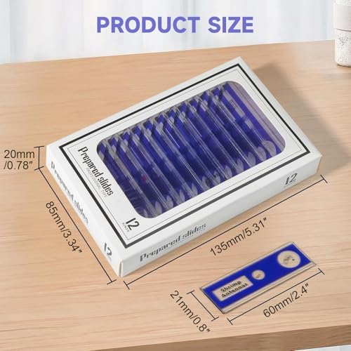 Jiusion 48Pcs Prepared Microscope Slides Specimen Set for Stereo Microscope - Image 5