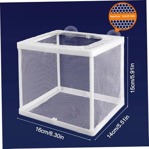 6.3x5.9x5.5 Inch Praying Mantis Egg Case Habitat, Incubator for Tarantulas, Spiders & Small Animals - Clear - Image 2