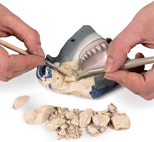 National Geographic Dig Kit: Shark Teeth Fossils, Archaeology & Marine Biology for Kids - Image 3