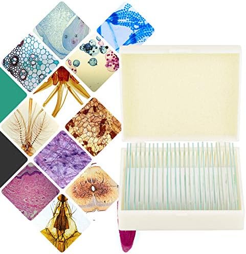 Prepared Microscope Slides Set, 25 Piece Glass Specimen Collection with Labeled Plant Animal Cell Samples for Biology Labs Students Standard 75 x 25 mm Boxed Set - Image 4