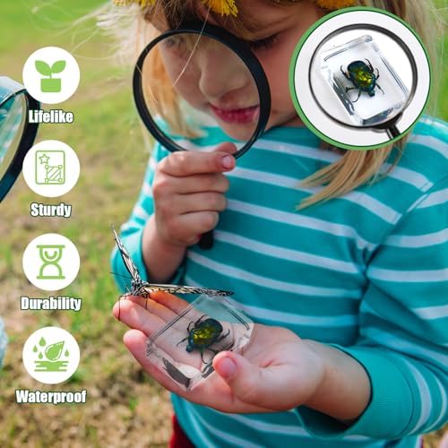 GlikCeil 12 Pcs Insect in Resin Specimen Bugs with 10x Magnifier for Kids - Image 7