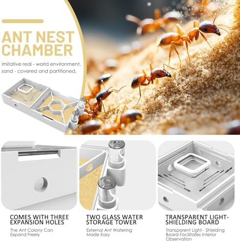 Nest Farm for Live Ants and Queen - Ant Farms with Yellow Sand Observation Transparent Ant Farm for Adults 3D Printed Nest Ant Workshop Castle Ant Garden Queen (Kit-D) - Image 4
