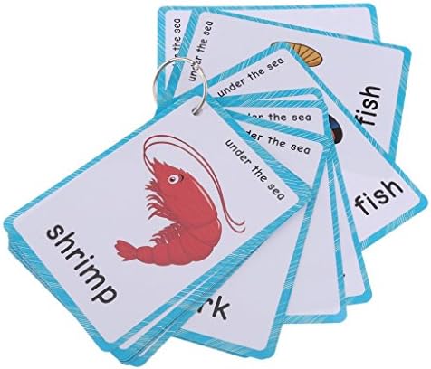 20 pcs Sea Animals Flash Cards for Toddlers | Marine Animals Learning Cards & Montessori Pocket Cards Perfect for Pre-K Wall Stickers and Insect Themed Party, Teacher/Autism Therapists Tools by SANTSUN