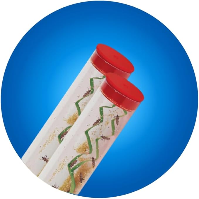Insect Lore Two Tubes of Live Ladybug Larvae - Raise 20-25 Pink Spotted Ladybugs - Life Science and STEM Education - Habitat Refill