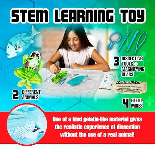 Top Secret Toys Mega Lab Dissect It Kit for Kids, Synthetic Frog and Piranha Dissection Kids Science Kit with Tools, STEM Biology Toys for Ages 6+ - Image 3