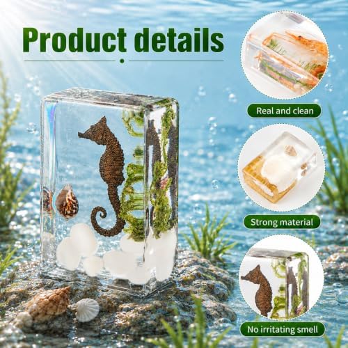 16 Pcs Ocean Animal Scenery Insect in Resin Specimen Bugs Collection Paperweights，16 Styles Scenery Real Bug Specimen Bug Kit Preserved in Resin for Scientific Display Supplies - Image 3