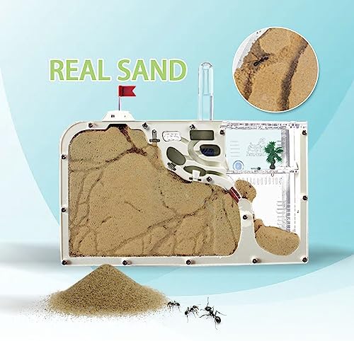ELNMLHT Ant Farm Castle, Ant Farms with Yellow Sand and Tool Kit, Ant Colony Observation Kit, Ant Viewing Habitat Science Kit, Educational & Learning Science Kit for Kids, Adults, Student (Ant Farm B) - Image 2