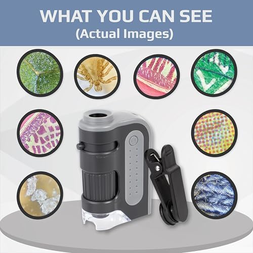 Carson MicroBrite Plus, 60x-120x LED Lighted Pocket Microscope |Portable Handheld Microscope STEM Toy - Mini Microscope for Student Science Lab, Educational Portable Microscope (MM-300) - Image 3