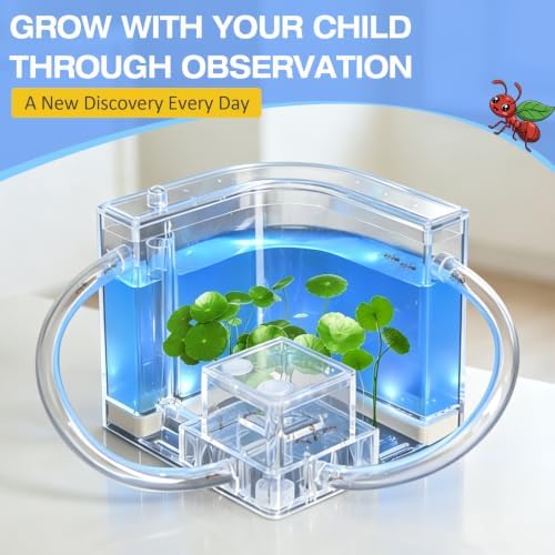 Ant Nest, Ant Habitat Kit - Image 2
