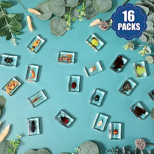 16 Pcs Ocean Animal Insect in Resin Specimen Bugs Collection Paperweights，16 Styles Real Bug Specimen Bug Kit Preserved in Resin for Scientific Educational Display Supplies (Ocean) - Image 4